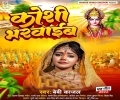 Saiya Ji Se Piyariya Mangwaib Koshi Bharwaib Ho Mp3 Song