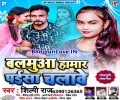 Balamua Hamar Paisa Chalawe Mehraru Me Sudhi Par Mp3 Song
