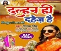 Shadi Hota Ki Shauda Kawan Khel Hota Marriage Karela Dulhin Ki Seal Hota Mp3 Song