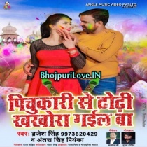 Pichukari Se Dhodi Kharocha Gail Ba (Brajesh Singh, Antra Singh Priyanka)