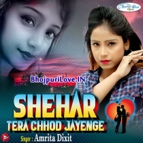 Shehar Tera Chhod Jayenge (Amrita Dixit)