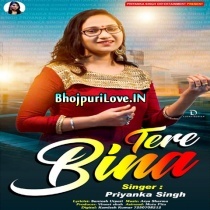 Tere Bina (Priyanka Singh)