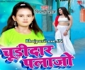 Chandni Chowk Se Diladi Balam Chudidar Plazo Mp3 Song