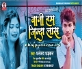 Bani Hum Jinda Laas Mp3 Song