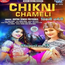 Chikani Chameli (Antra Singh Priyanka)