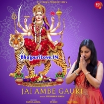 Jai Ambe Gauri (Priyanka Singh)