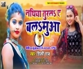 Nathiya Turla Ae Balamua Rate Kora Dhare Me Mp3 Song
