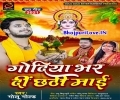 Chhathiya Maiya Godiya Hamar Bhar Detu Jindagi Swar Detu Mp3 Song