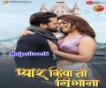 Pyar Kiya To Nibhana Sanam Mp3 Song