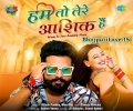 Hum To Tere Aashiq Hai Mp3 Song
