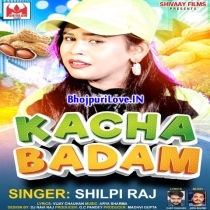 Kacha Badam (Shilpi Raj)