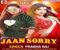 Ae Jaan I Am Sorry Bitat January Chhodi Ke Sasural Chal Jaib Mp3 Song