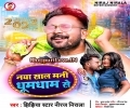 Abki Naya Saal Manawal Jaai Dhumdham Se Mp3 Song