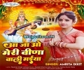 Aa Jao Meri Veena Wali Maiya Mp3 Song