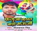 Faguwa Bhukhal Badi Bhauji Mp3 Song