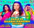 Daale De Bhabhi Rangwa Gulabi Mp3 Song