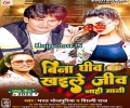 Bina Ghiv Khaile Ji Nahi Mani Mp3 Song
