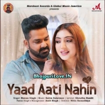 Yaad Aati Nahi (Pawan Singh)