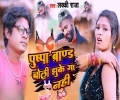 Pushpa Brand Choli Jhuke Ga Nahi Mp3 Song