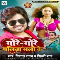 Gore Gore Galiya Mali Ke (Vishal Gagan, Shilpi Raj)