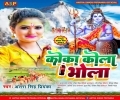 Bhola Ji Leyadi Machhardani Ago Devghar Me Katelan Sa Machhar Ji Mp3 Song