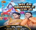 Puranka Chilam Ganga Ji Me Ka Da Bisarjan Mp3 Song