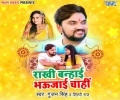 Rakhi Banhai Bhaujayi Chahi Mp3 Song