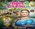 Janme Hai Krishna Kanhaiya Gokul Me Baje Badhaiya Ho Mp3 Song