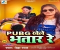 PUBG Khele Bhatar Re Mp3 Song